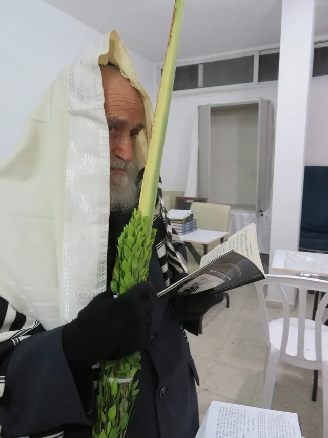 נענועי הלולב בשמחה